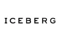 Iceberg